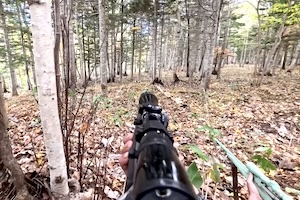 【動画】北海道でヒグマを仕留めたハンター視点の映像。