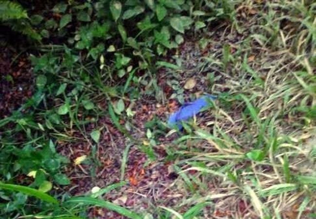 hY70vLBjRCf_Jn31465382473