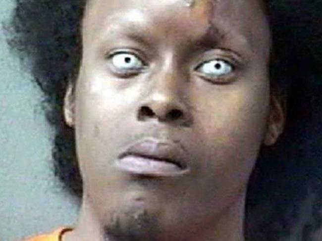 qLpnXx3qpTTRTkR1486363651