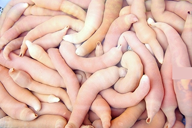 【閲覧注意】これが大勢の男達に輪姦されたレ●プ被害者の姿です。覚悟してご覧ください