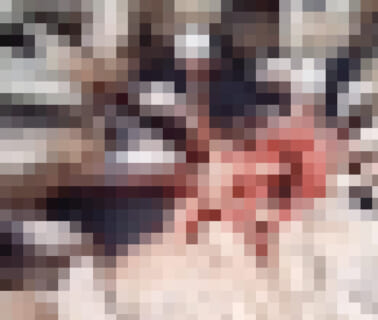 【超！閲覧注意】海外で1億再生された ”伝説のGIF” 、これやっぱ凄すぎる