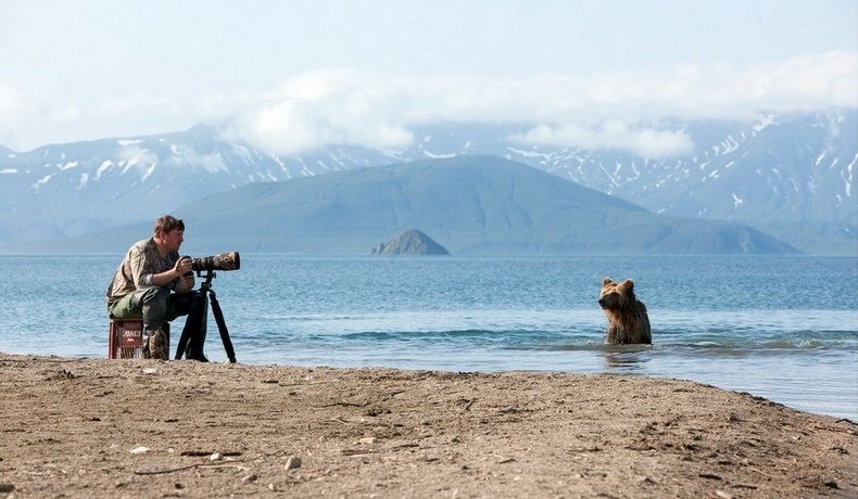 bearsinkamchatka3422