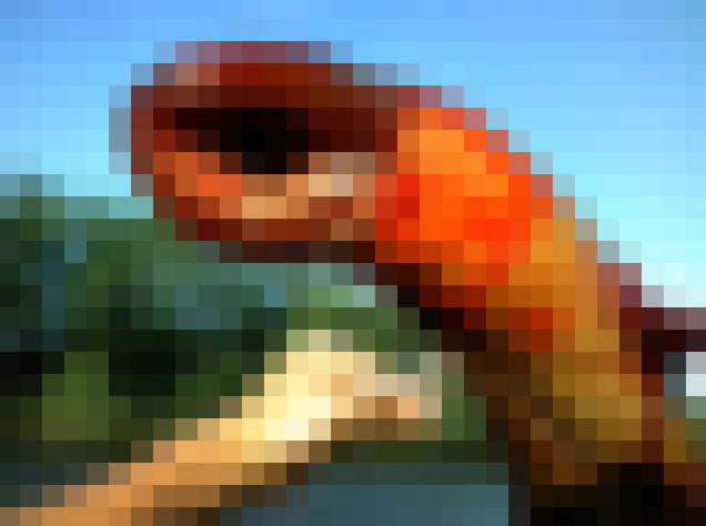 kako-h3Vic9hYk48qYVwE